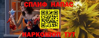 дмт Донской