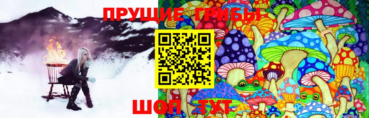 Назрань  Галлюциногенные грибы Psilocybine cubensis  Галлюциногенные грибы прущие грибы  Вход с VPN 